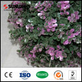 low prices plastic ivy garden fencing artificial climbing vines